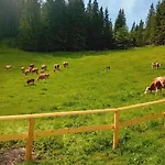 Koca Na Kranjski Dolini Krnica 93 A,pokljuka 公寓