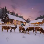 Koca Na Kranjski Dolini Krnica 93 A,pokljuka