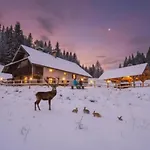 Koca Na Kranjski Dolini Krnica 93 A,pokljuka 公寓 Zgornje Gorje