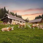 Koca Na Kranjski Dolini Krnica 93 A,pokljuka Zgornje Gorje