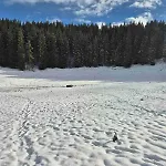 Koca Na Kranjski Dolini Krnica 93 A,pokljuka 公寓