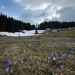 Koca Na Kranjski Dolini Krnica 93 A,pokljuka Zgornje Gorje