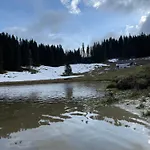Koca Na Kranjski Dolini Krnica 93 A,pokljuka Apartment Zgornje Gorje
