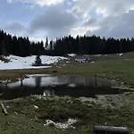 Koca Na Kranjski Dolini Krnica 93 A,pokljuka Apartment *