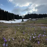 Apartment Koca Na Kranjski Dolini Krnica 93 A,pokljuka