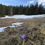 Apartment Koca Na Kranjski Dolini Krnica 93 A,pokljuka *