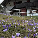 Apartment Koca Na Kranjski Dolini Krnica 93 A,pokljuka *