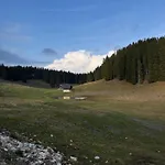 Koca Na Kranjski Dolini Krnica 93 A,pokljuka Apartment