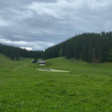 Koca Na Kranjski Dolini Krnica 93 A,pokljuka * Zgornje Gorje