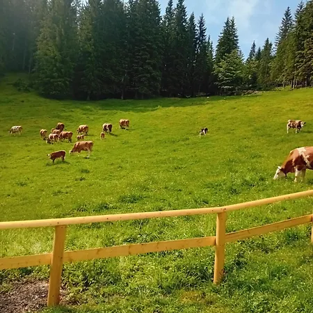 Koca Na Kranjski Dolini Krnica 93 A,pokljuka アパート