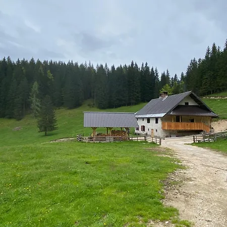 Koca Na Kranjski Dolini Pokljuka Zgornje Gorje