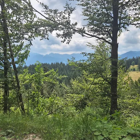 Koca Na Kranjski Dolini Krnica 93 A,pokljuka Apartman