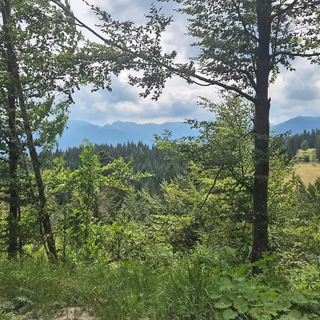 Koca Na Kranjski Dolini Pokljuka Apartman