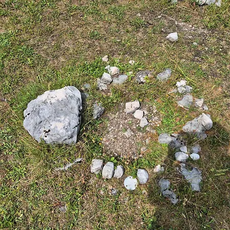 Koca Na Kranjski Dolini Pokljuka *