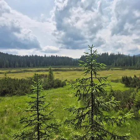 Appartamento Koca Na Kranjski Dolini Krnica 93 A,pokljuka Zgornje Gorje