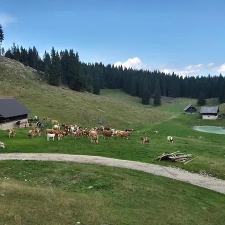 Koca Na Kranjski Dolini Krnica 93 A,pokljuka *