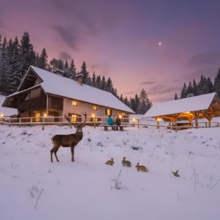 Koca Na Kranjski Dolini Krnica 93 A,pokljuka Apartman Zgornje Gorje