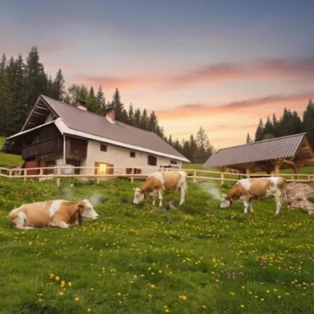 Koca Na Kranjski Dolini Krnica 93 A,pokljuka Згорнье-Горье