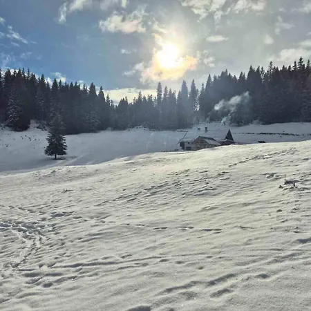 Koca Na Kranjski Dolini Krnica 93 A,pokljuka