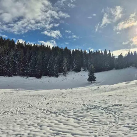 Koca Na Kranjski Dolini Krnica 93 A,pokljuka דירה