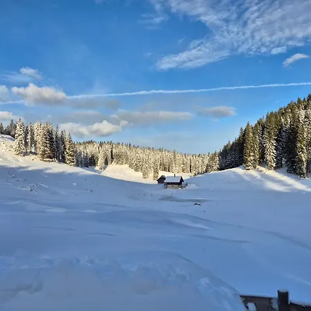 דירה Koca Na Kranjski Dolini Krnica 93 A,pokljuka Zgornje Gorje