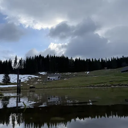Koca Na Kranjski Dolini Krnica 93 A,pokljuka アパート *