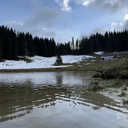 Koca Na Kranjski Dolini Krnica 93 A,pokljuka アパート