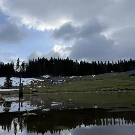Koca Na Kranjski Dolini Krnica 93 A,pokljuka アパート *