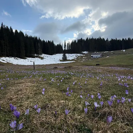Koca Na Kranjski Dolini Krnica 93 A,pokljuka ゴレンスカ地方