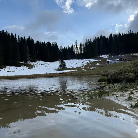 Koca Na Kranjski Dolini Krnica 93 A,pokljuka アパート ゴレンスカ地方