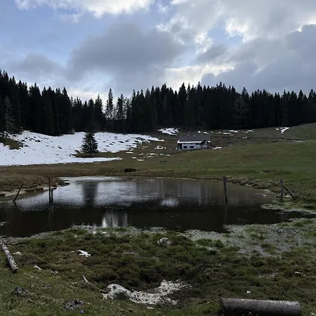 Koca Na Kranjski Dolini Krnica 93 A,pokljuka アパート *