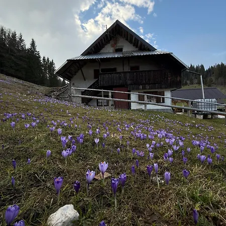 Koca Na Kranjski Dolini Krnica 93 A,pokljuka * ゴレンスカ地方