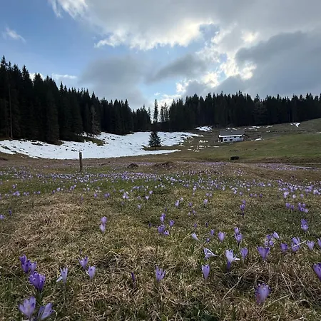 アパート Koca Na Kranjski Dolini Krnica 93 A,pokljuka