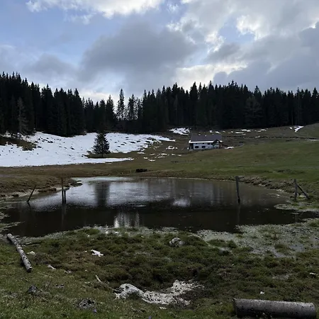 Koca Na Kranjski Dolini Krnica 93 A,pokljuka アパート ゴレンスカ地方