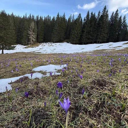 アパート Koca Na Kranjski Dolini Krnica 93 A,pokljuka *
