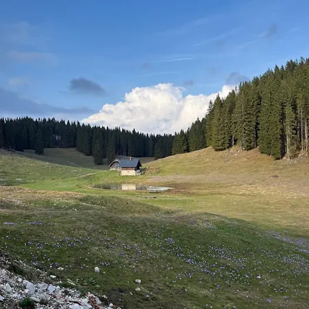 アパート Koca Na Kranjski Dolini Krnica 93 A,pokljuka ゴレンスカ地方