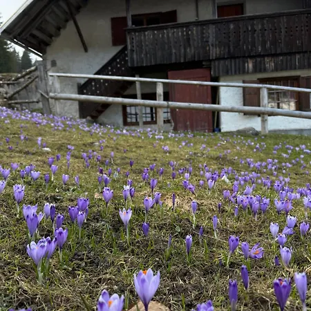 アパート Koca Na Kranjski Dolini Krnica 93 A,pokljuka *