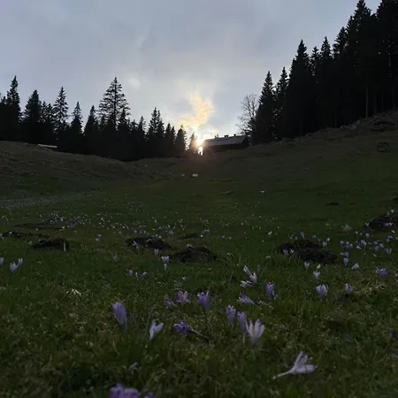 Koca Na Kranjski Dolini Krnica 93 A,pokljuka アパート ゴレンスカ地方