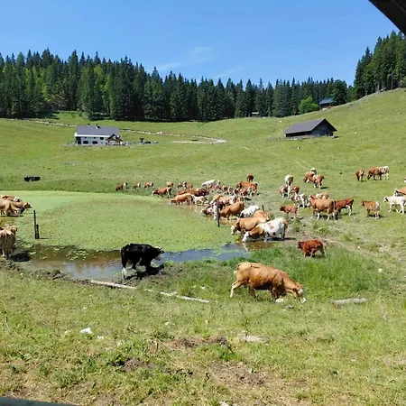 Koca Na Kranjski Dolini Krnica 93 A,pokljuka