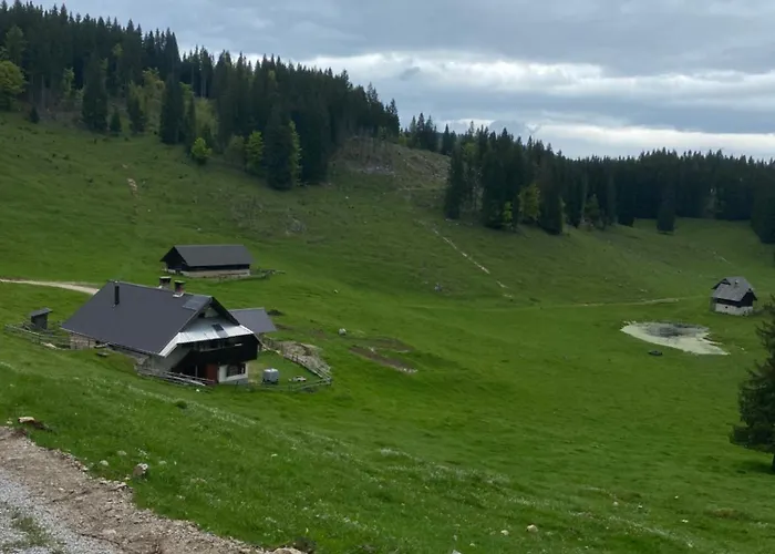 Koca Na Kranjski Dolini Krnica 93 A,pokljuka ゴレンスカ地方