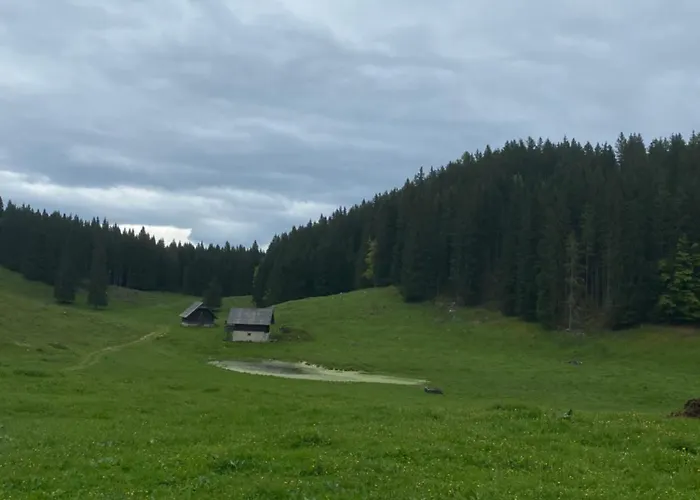Daire Koca Na Kranjski Dolini Krnica 93 A,pokljuka