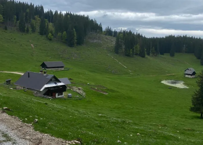 Daire Koca Na Kranjski Dolini Krnica 93 A,pokljuka *