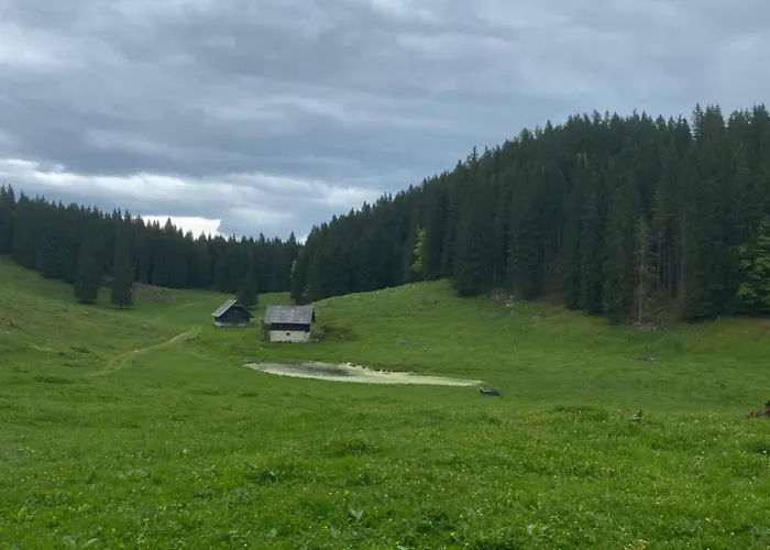 Koca Na Kranjski Dolini Krnica 93 A,pokljuka * ゴレンスカ地方