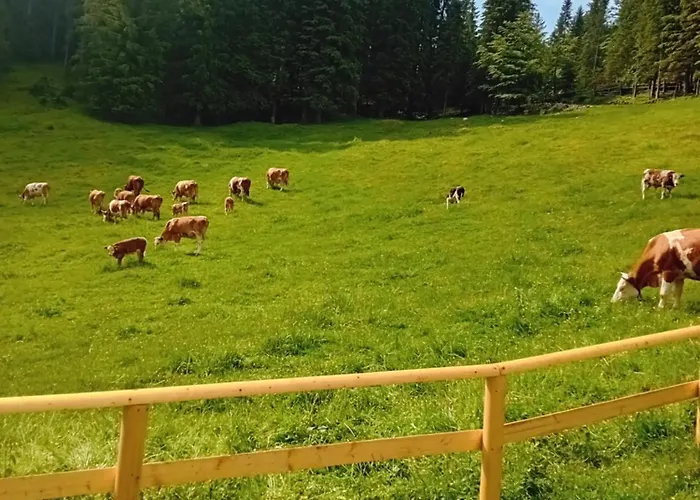 Koca Na Kranjski Dolini Krnica 93 A,pokljuka דירה