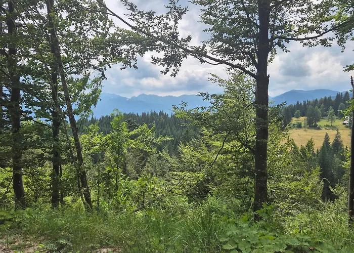 Koca Na Kranjski Dolini Krnica 93 A,pokljuka Daire