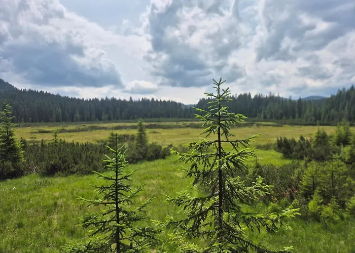 アパート Koca Na Kranjski Dolini Krnica 93 A,pokljuka ゴレンスカ地方
