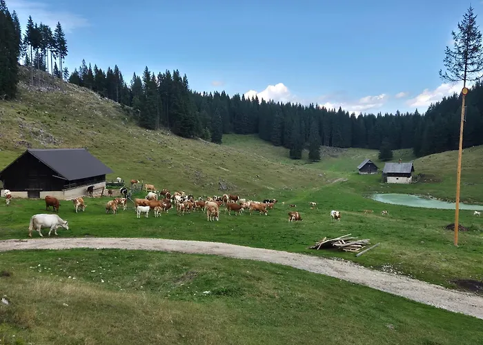 Koca Na Kranjski Dolini Krnica 93 A,pokljuka *
