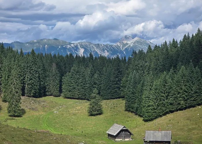 Koca Na Kranjski Dolini Krnica 93 A,pokljuka דירה