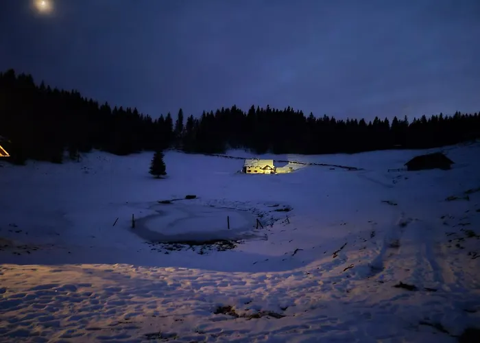 Koca Na Kranjski Dolini Krnica 93 A,pokljuka Daire Zgornje Gorje