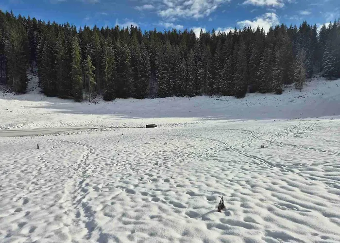 Koca Na Kranjski Dolini Krnica 93 A,pokljuka Daire